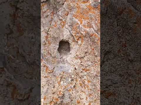 اموزش گنج یابی در کوه